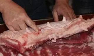 母猪肉为什么不能吃